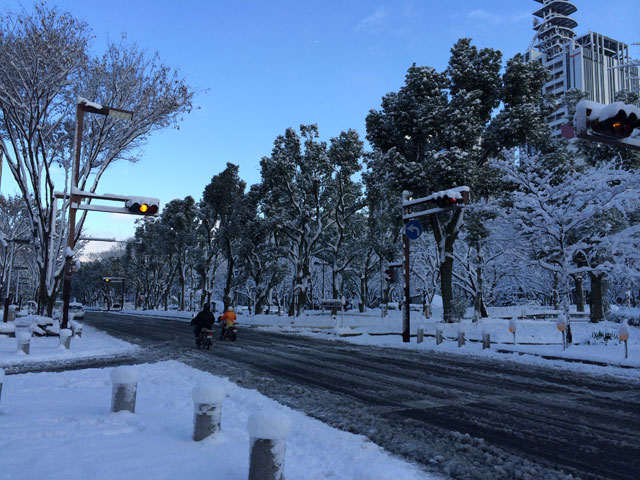 雪の朝。