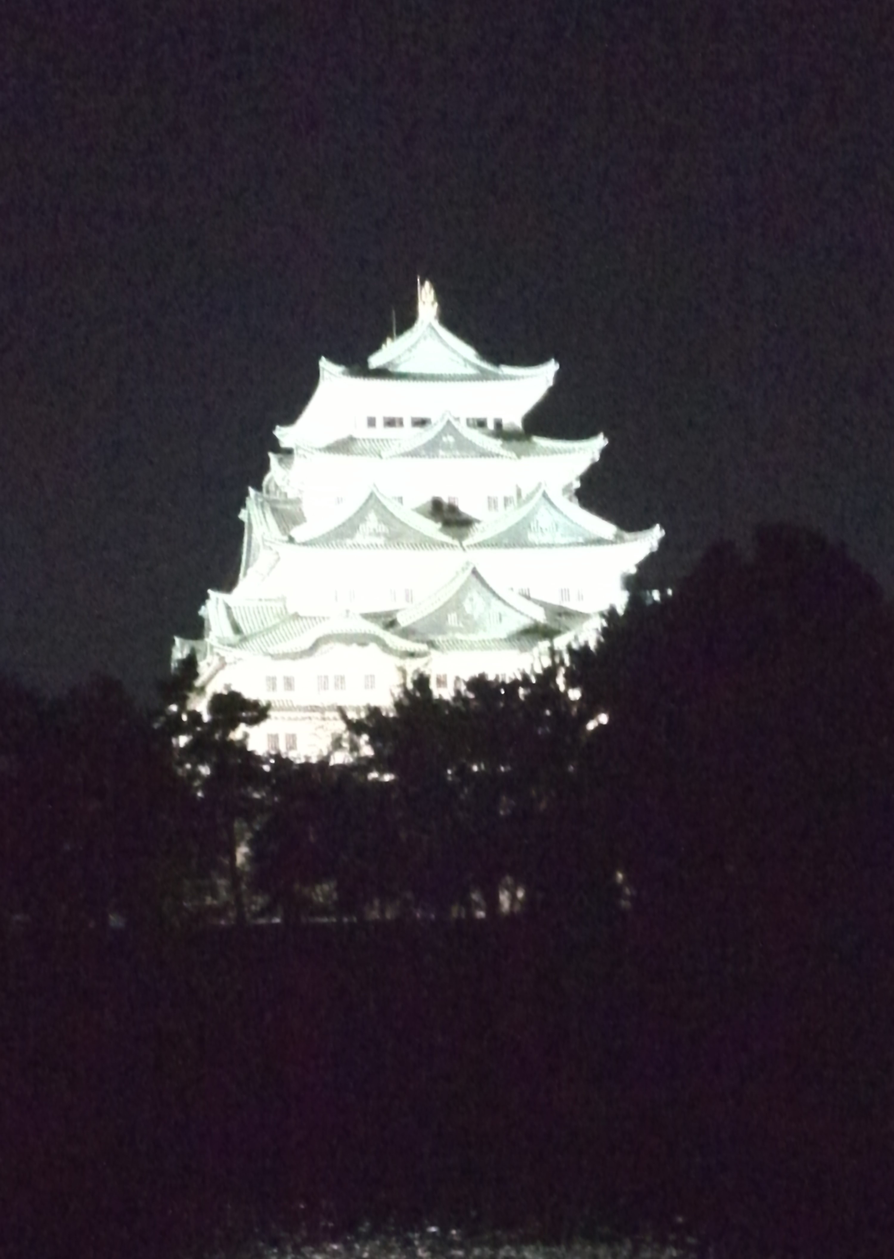 夜の名古屋城