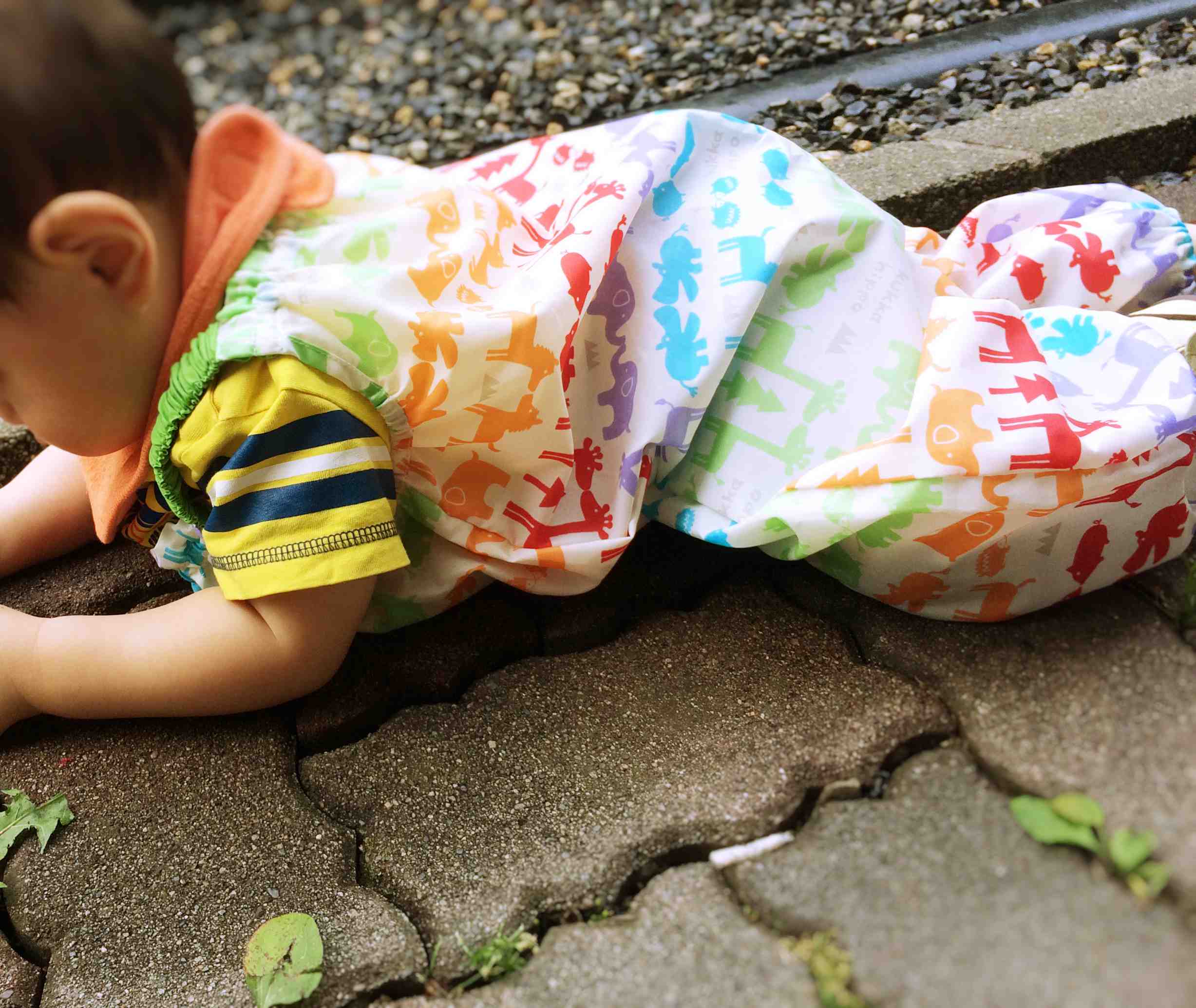 雨上りのひとコマ。